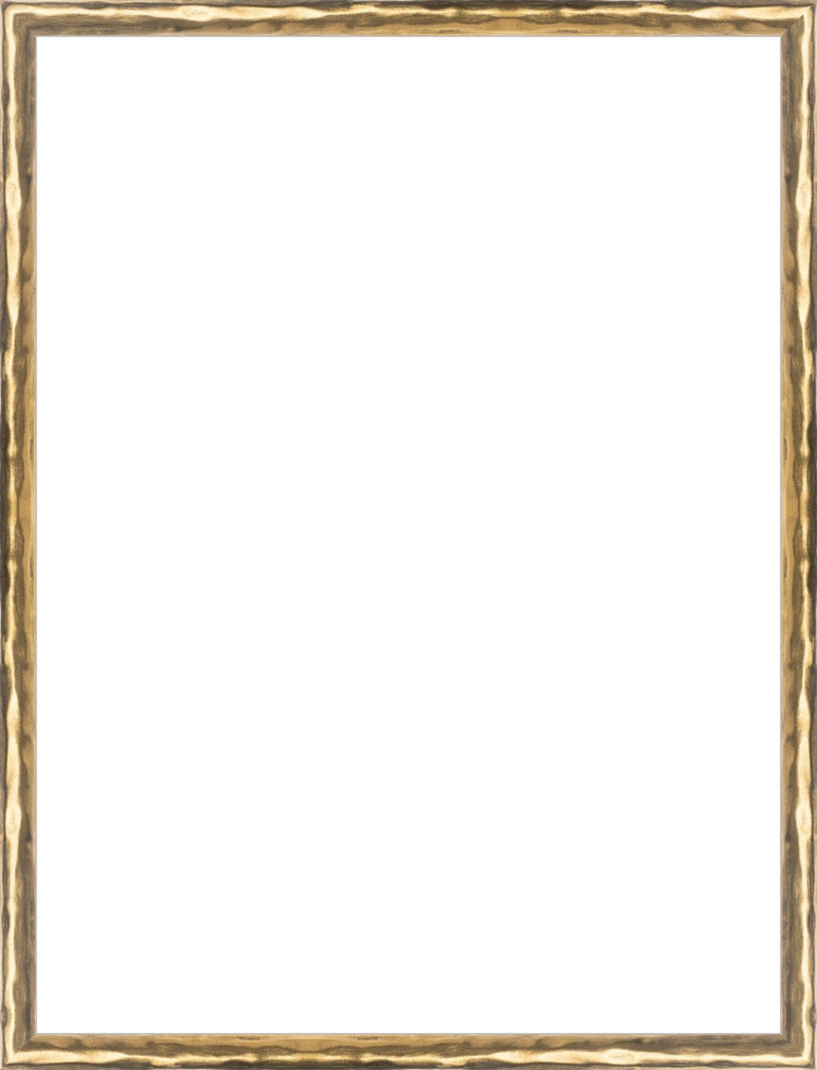 Gold Textured Frame. Opening Size: 16x12. Final Size: 16'' X 12''