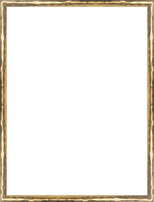 Gold Textured Frame. Opening Size: 16x12. Final Size: 16'' X 12''