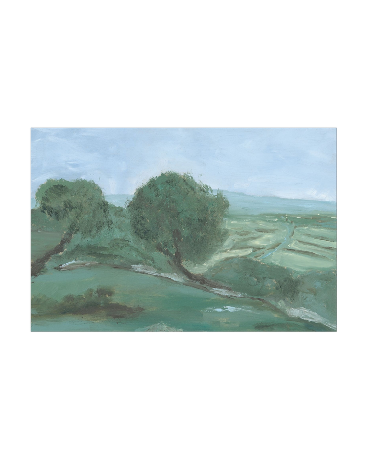 Olives Field Study