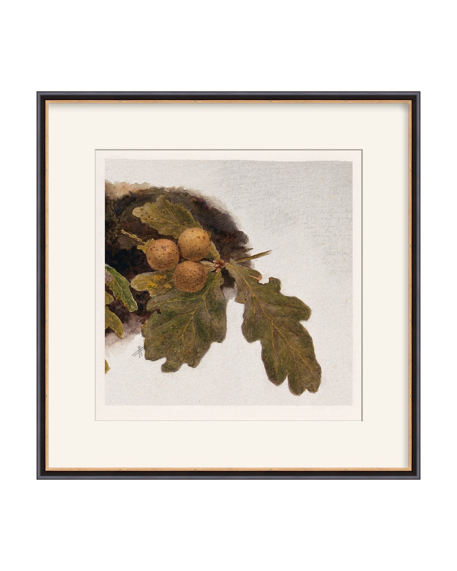 Framed - Traditional Black and Gold - Warm White Mat / 21.25 x 21.5 / Rag