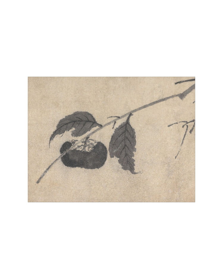 Shadowed Blooms 5