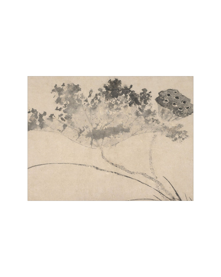 Shadowed Blooms 9
