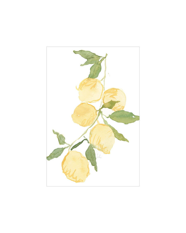 Lemon Branch
