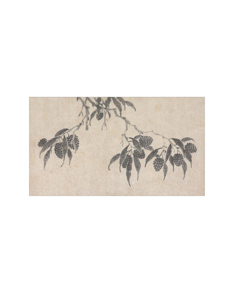 Shadowed Blooms 7