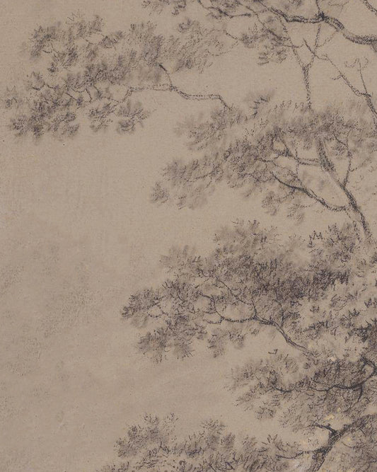 Woodland Sketch