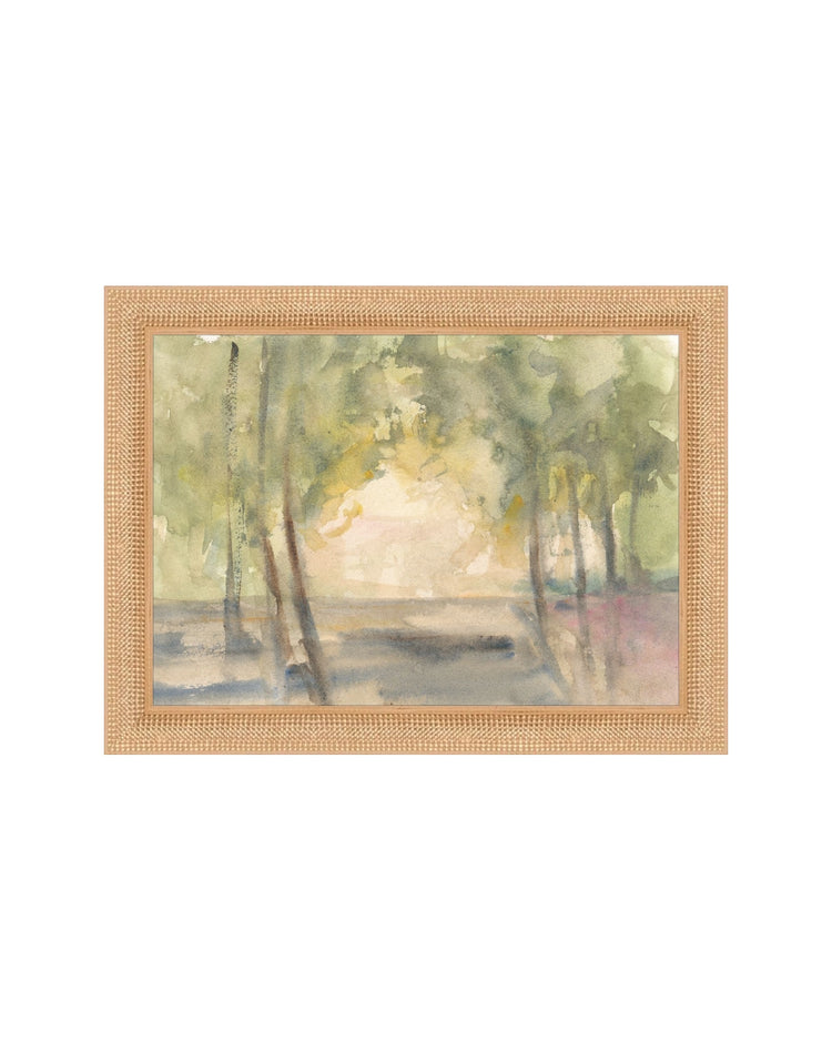 Light Through the Trees