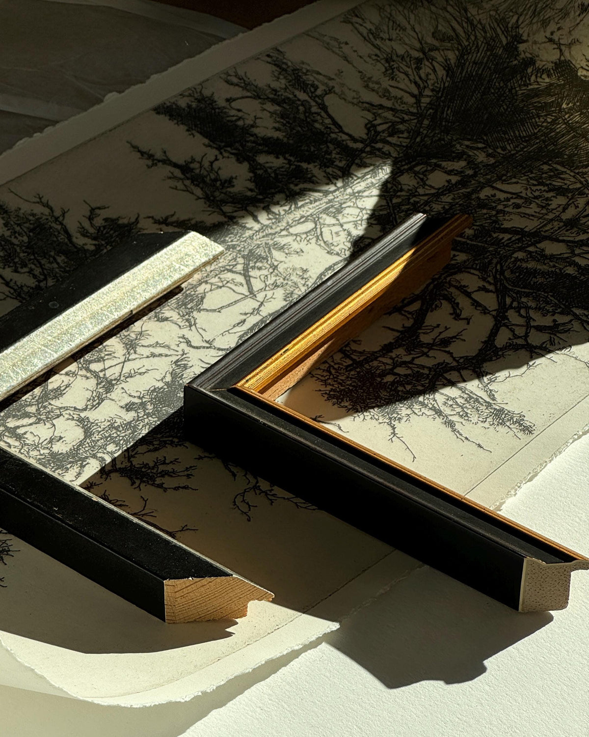 FRAMED. Trees Etching 4. Etching Tree Print. Trees Wall Art. Framed Etching Tree. Tree Wall Art Framed. Framed Vintage Tree Print.