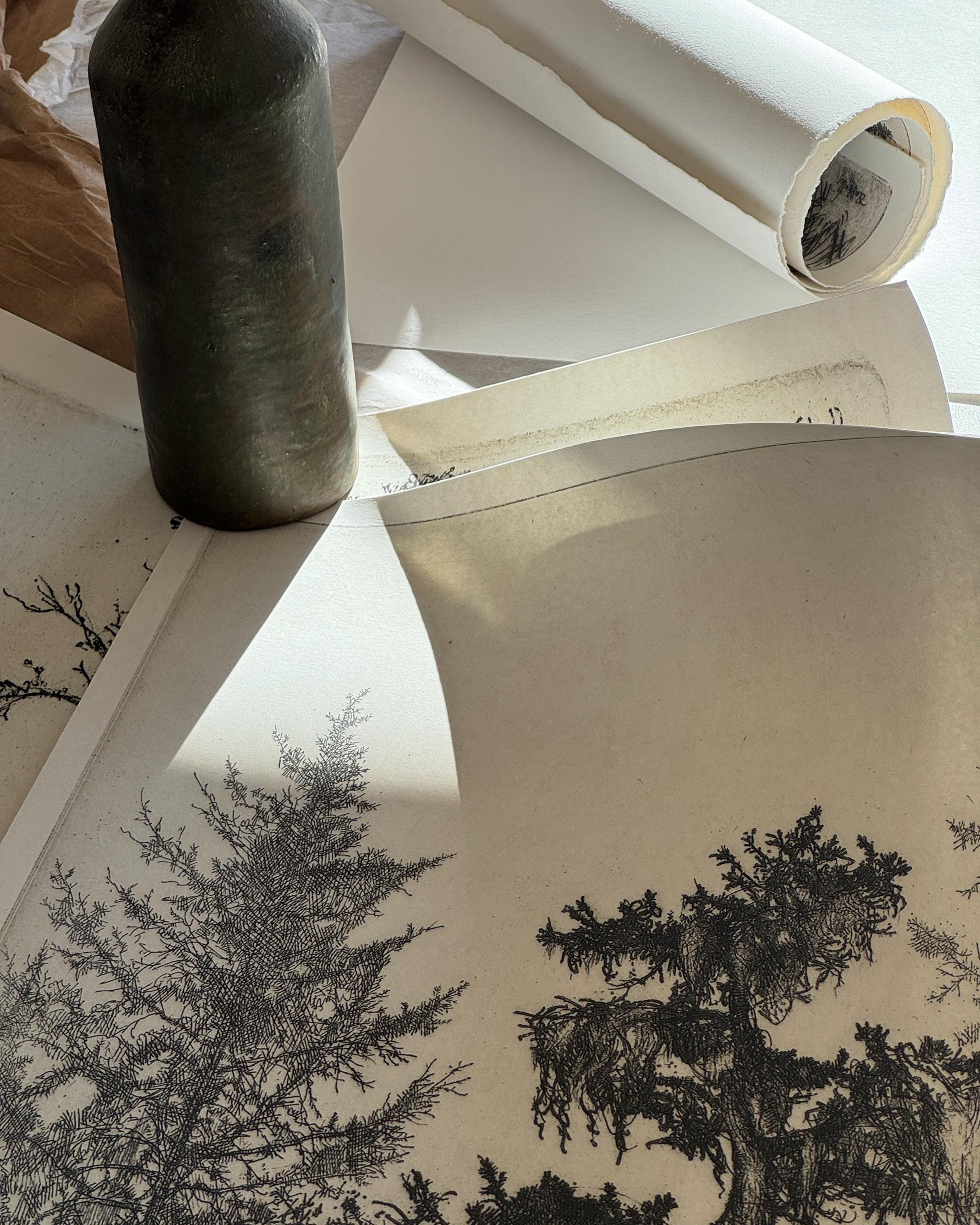 Framed Trees Etching 5. Etching Tree Print. Framed Vertical Trees Wall Art. Framed Etching Tree Tree Wall Art Framed. Deckled Edge Art Print