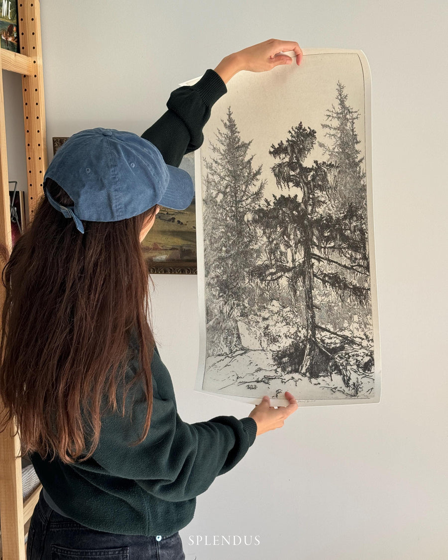 Framed Set of 2 Trees Etchings. Vintage Long and Narrow Artwork. Gallery Wall Vintage Art. Set of Two Wall Art. Trees Drawing Art Prints Set