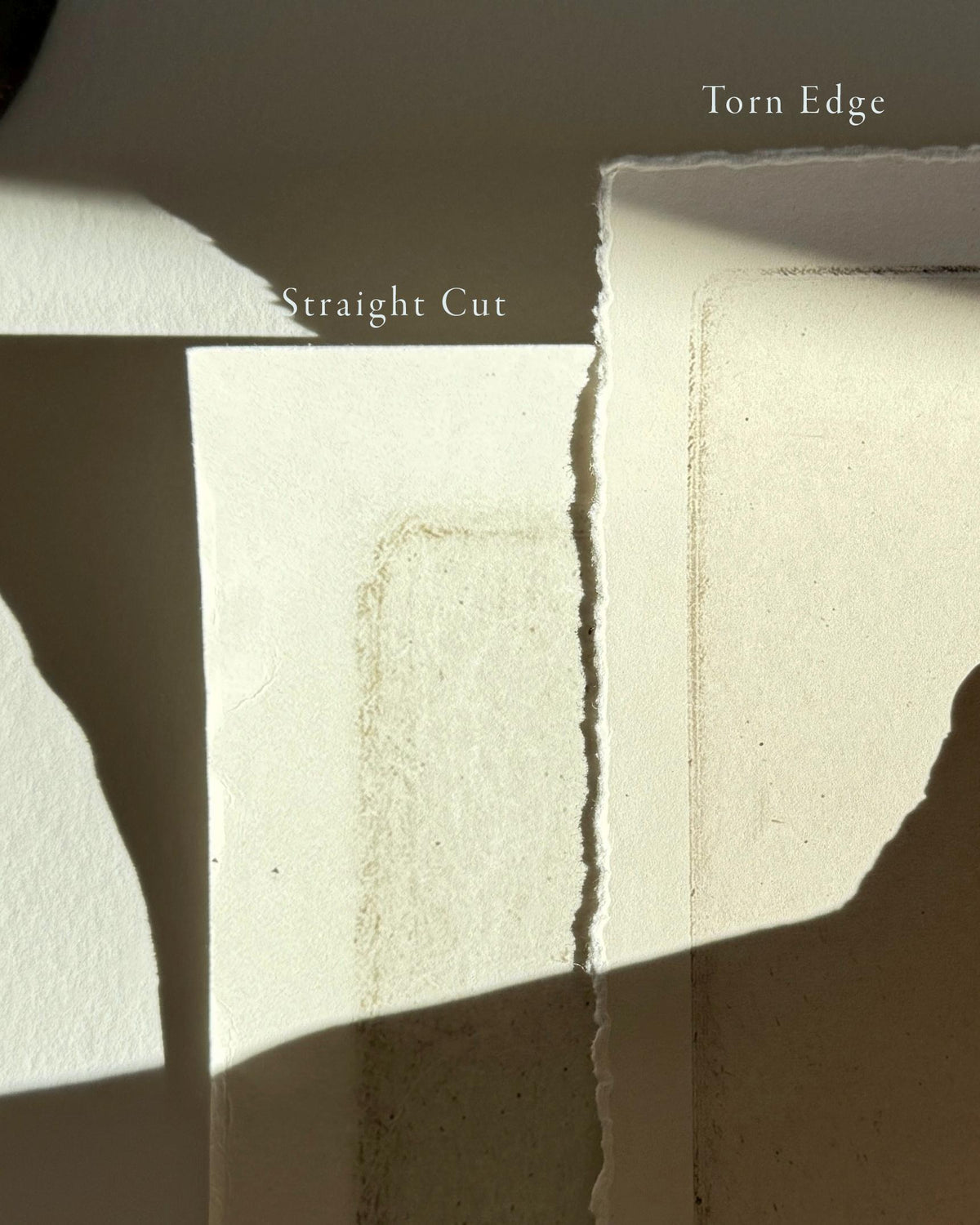 Framed Set of 2 Trees Etchings. Vintage Long and Narrow Artwork. Gallery Wall Vintage Art. Set of Two Wall Art. Trees Drawing Art Prints Set