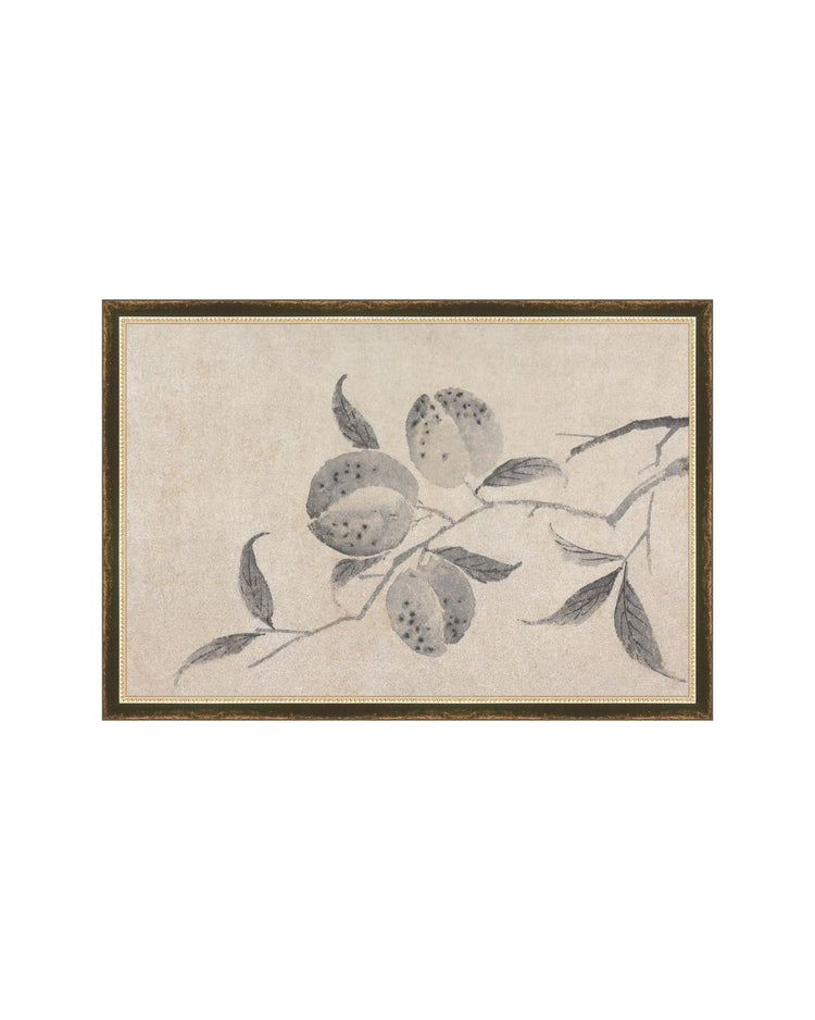 Shadowed Blooms 8