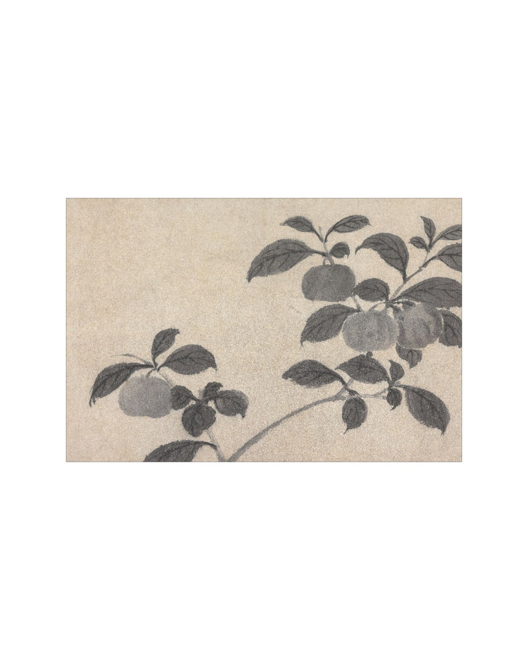 Shadowed Blooms 2
