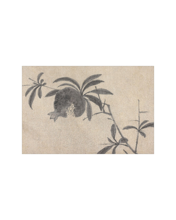 Shadowed Blooms 4