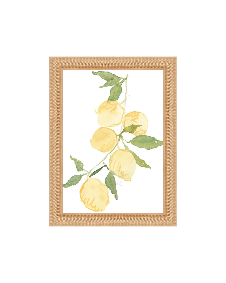 Lemon Branch