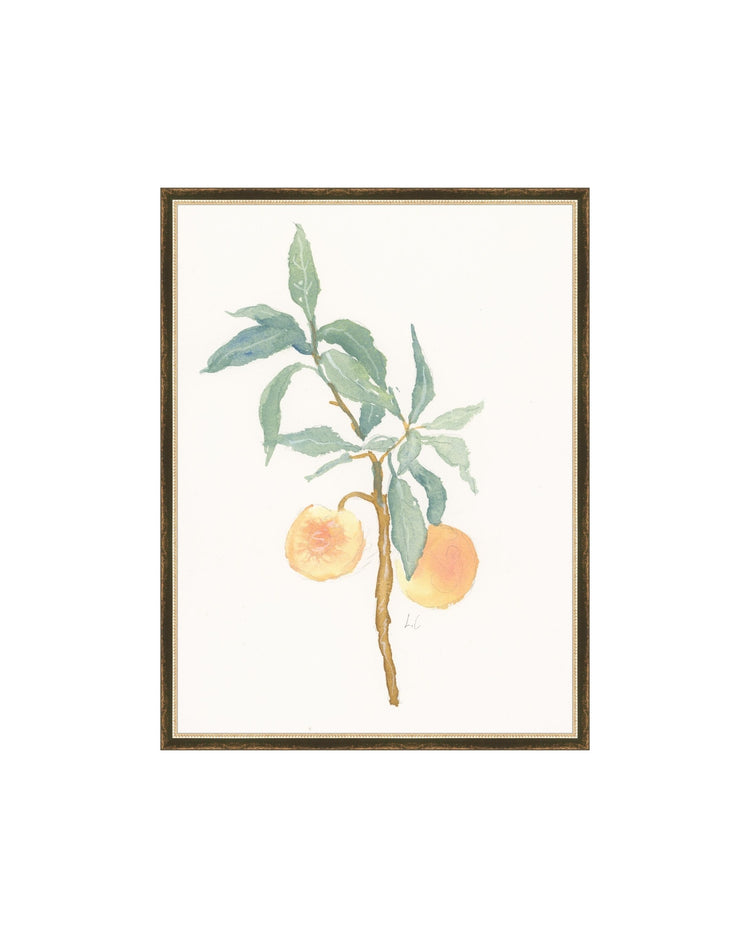 Peach Branch