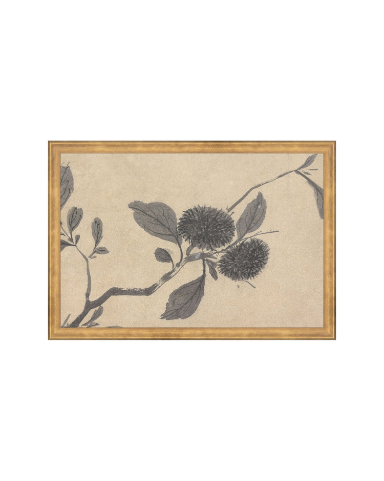Shadowed Blooms 3