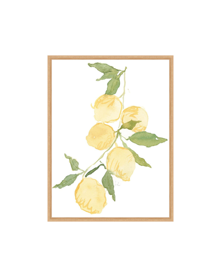 Lemon Branch