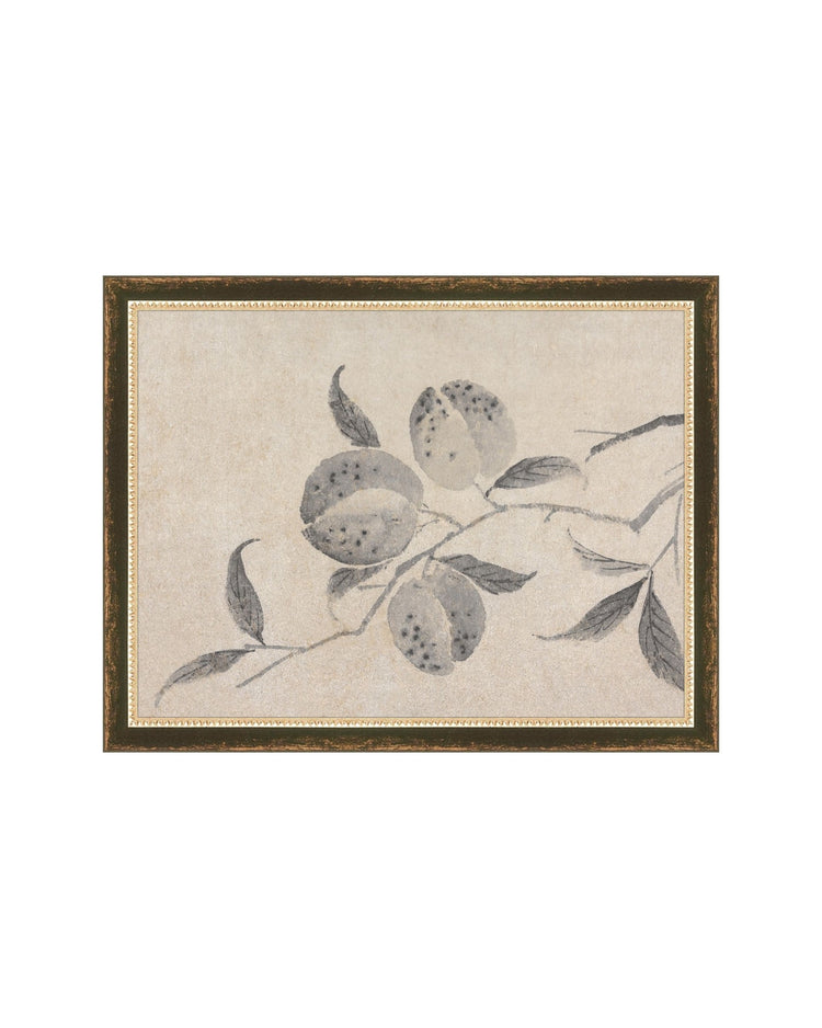 Shadowed Blooms 8