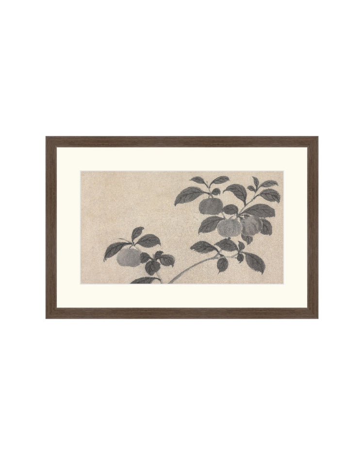 Shadowed Blooms 2