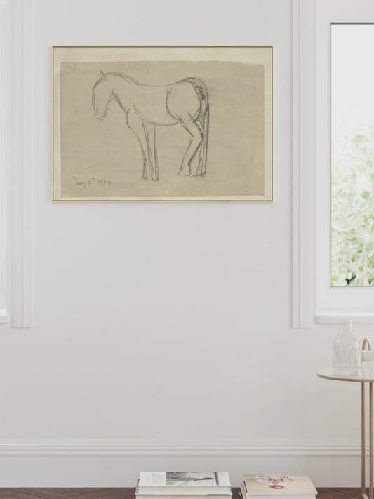 Horse Sketch