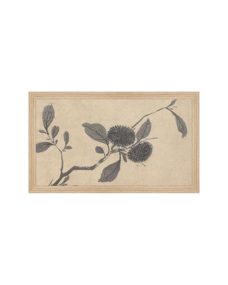 Shadowed Blooms 3