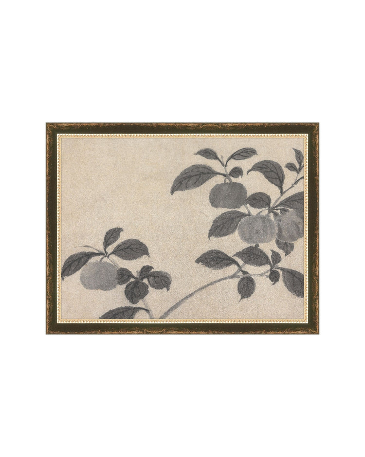 Shadowed Blooms 2
