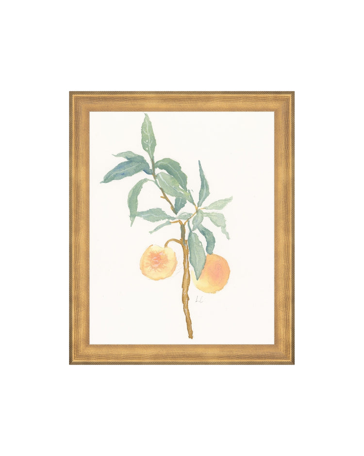 Peach Branch