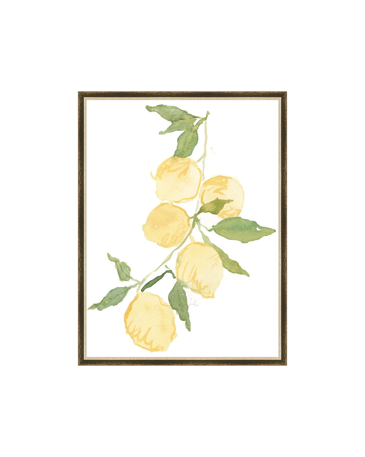 Lemon Branch