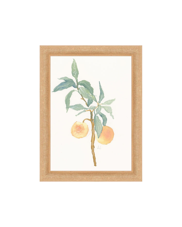 Peach Branch