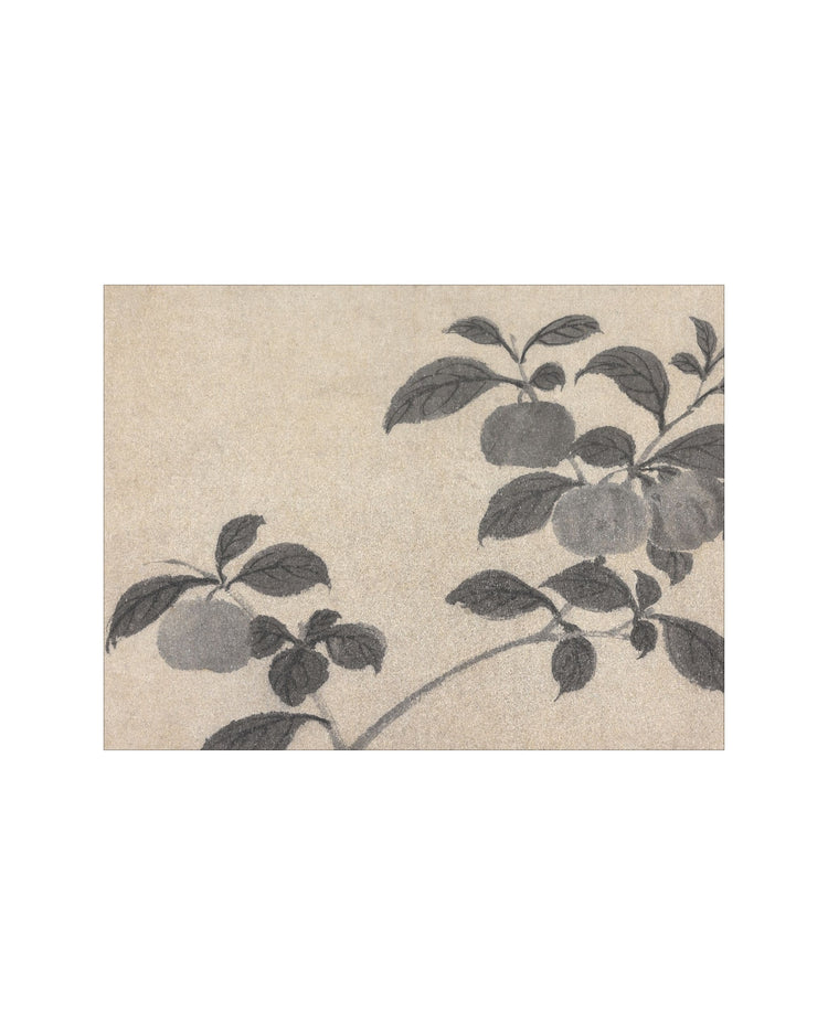 Shadowed Blooms 2