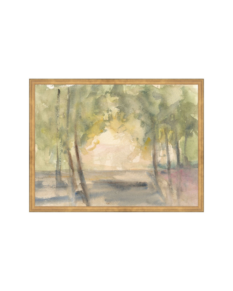 Light Through the Trees