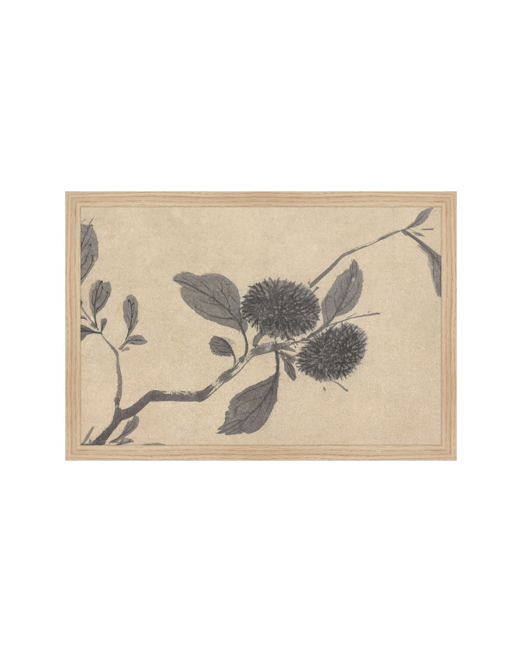 Shadowed Blooms 3