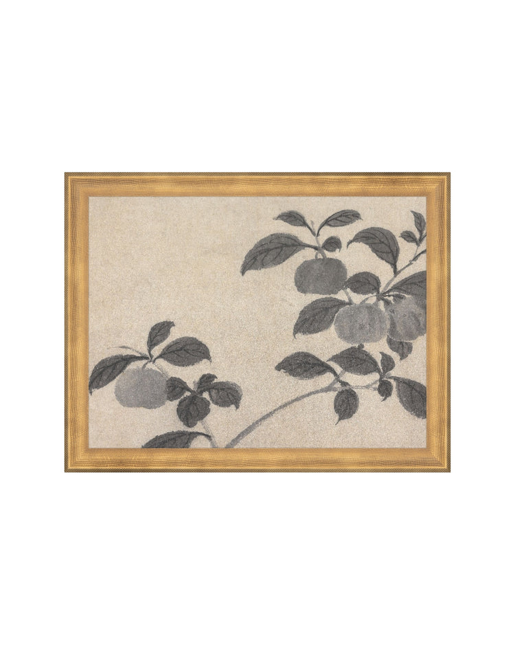 Shadowed Blooms 2