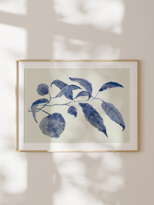 Sunland Botanicals No. 1