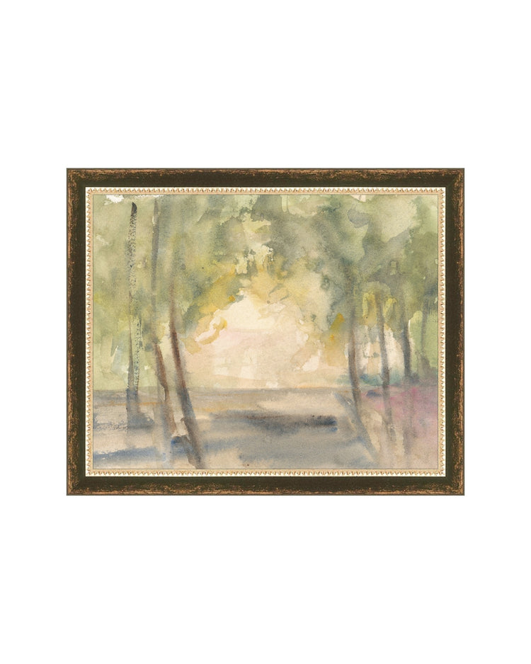 Light Through the Trees