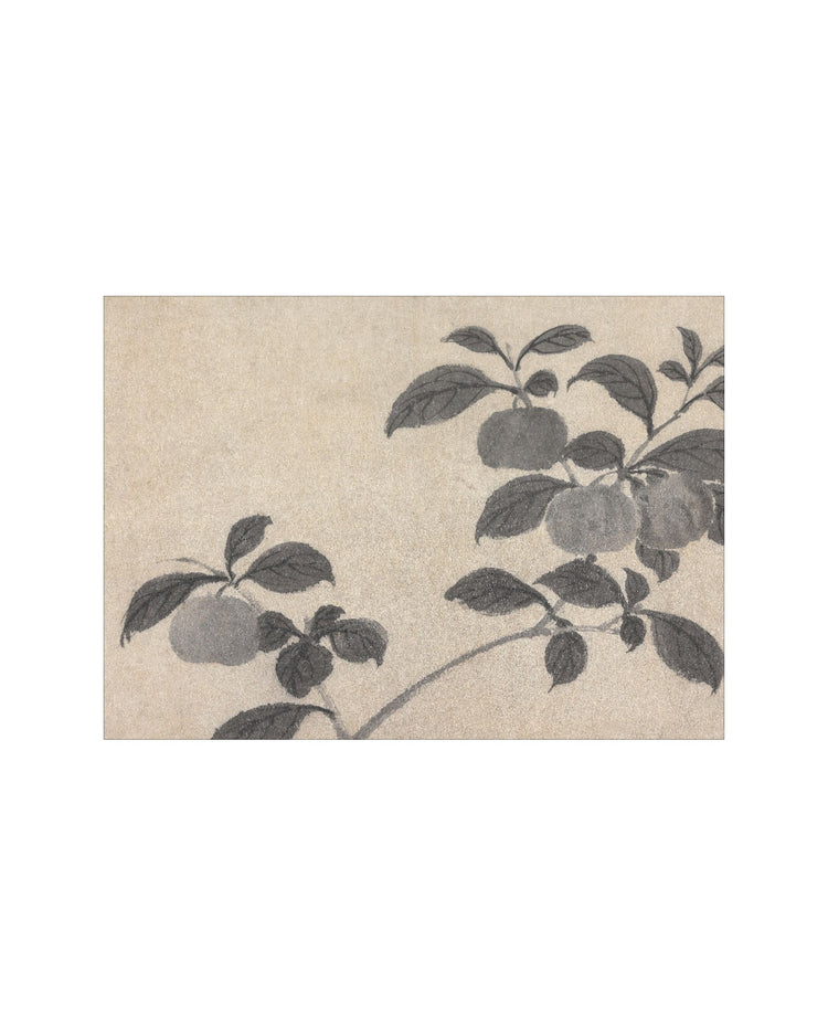 Shadowed Blooms 2