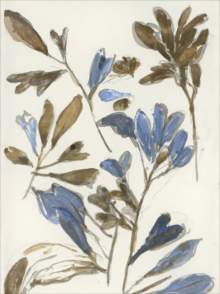 Framed Botanical Color Study. Frame: No Frame. Paper: Rag Paper. Art Size: 40x30. Final Size: 40'' X 30''