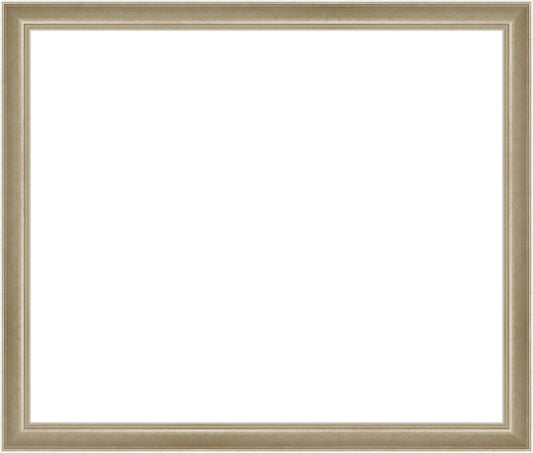 Light Silver Frame. Opening Size: 15x18. Final Size: 16'' X 19''