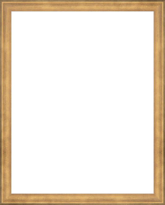 Timeless Gold Frame. Opening Size: 14x11. Final Size: 15'' X 12''