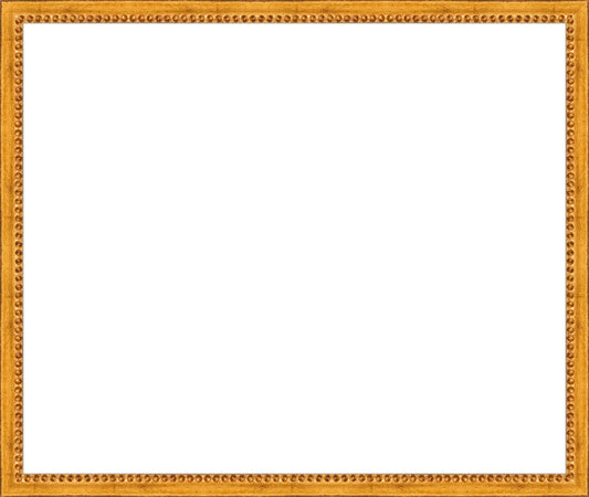 Gold Beaded Frame. Opening Size: 15x18. Final Size: 16'' X 19''