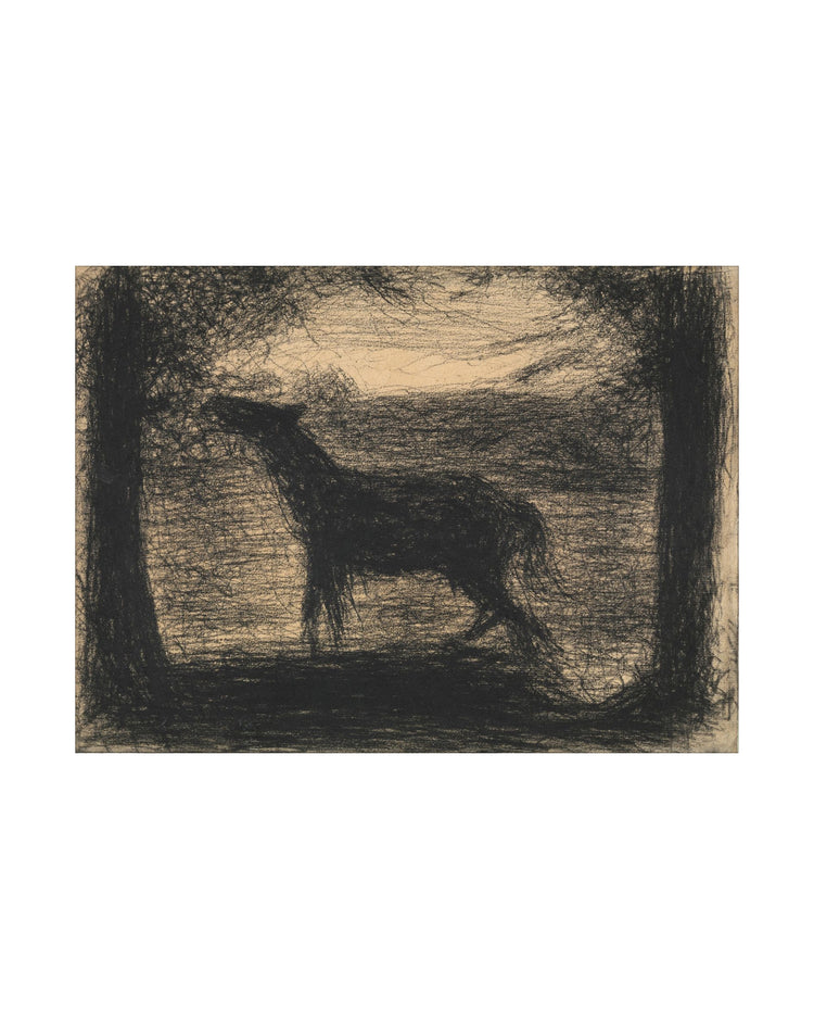 Foal Drawing