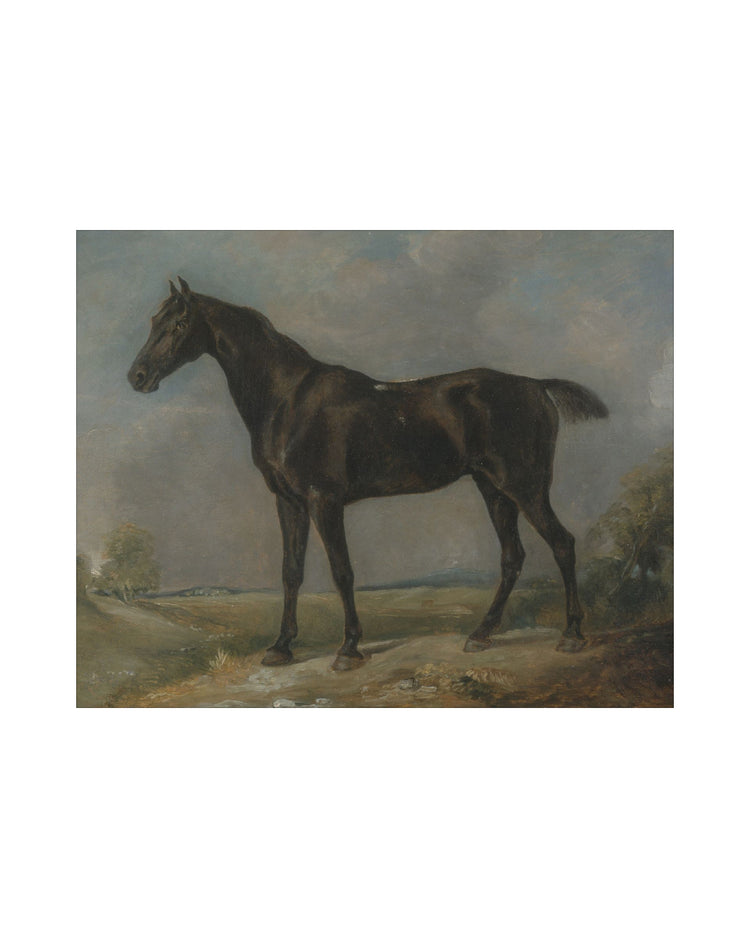 Study of a Horse II