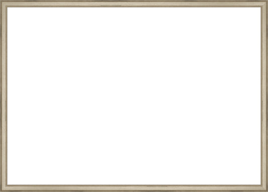 Traditional Silver Frame. Opening Size: 19x27. Final Size: 20'' X 28''