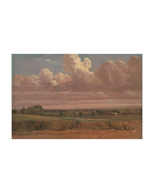 Sunset Prairie