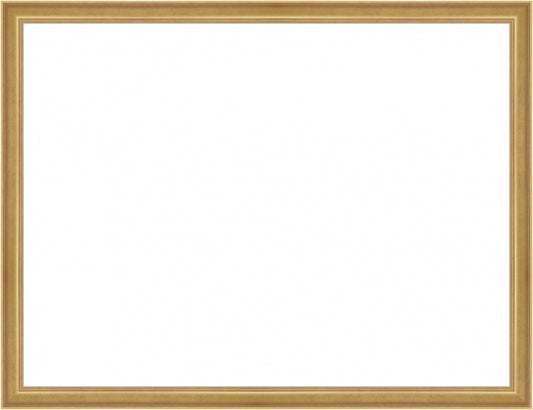 Light Gold Frame. Opening Size: 18x24. Final Size: 19'' X 25''