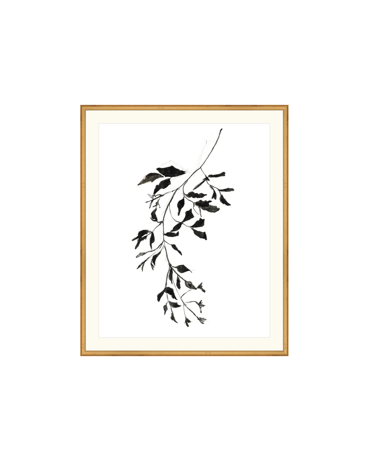 Botanical Ink Study II HoJ