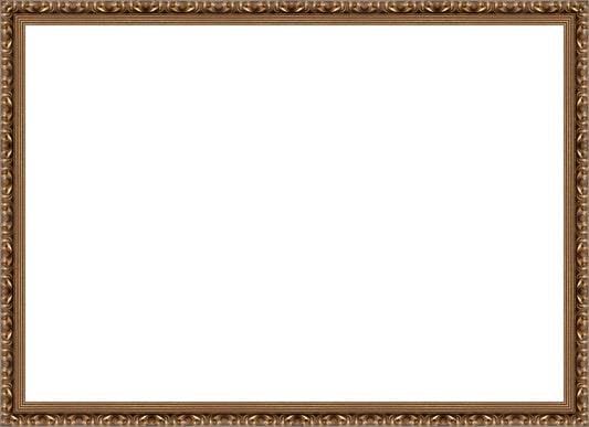 Gold Ornate Frame. Opening Size: 19x27. Final Size: 21'' X 29''