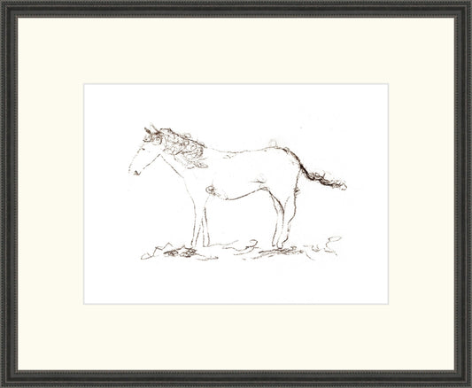 Uploaded Art:Horse Drawing copy.jpg. Frame: Double Beaded Black. Paper: Rag Paper. Art Size: 8x11. Final Size: 13'' X 16''