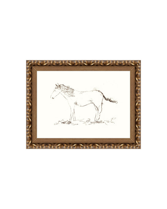 Horse Drawing
