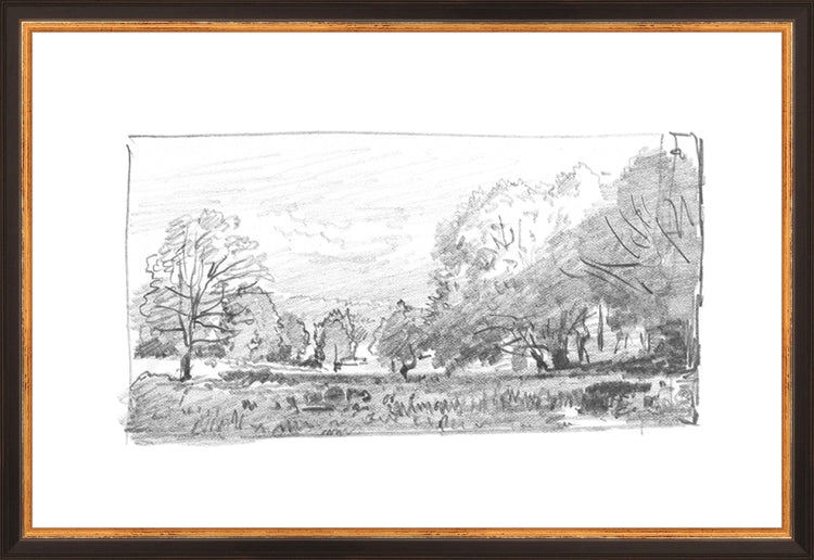 Framed Charcoal Trees 1. Frame: Traditional Black and Gold. Paper: Rag Paper. Art Size: 13x19. Final Size: 13'' X 19''